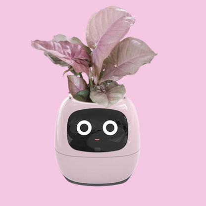 Smart Planter