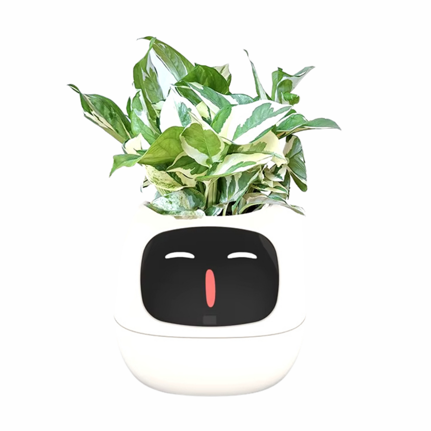 Smart Planter