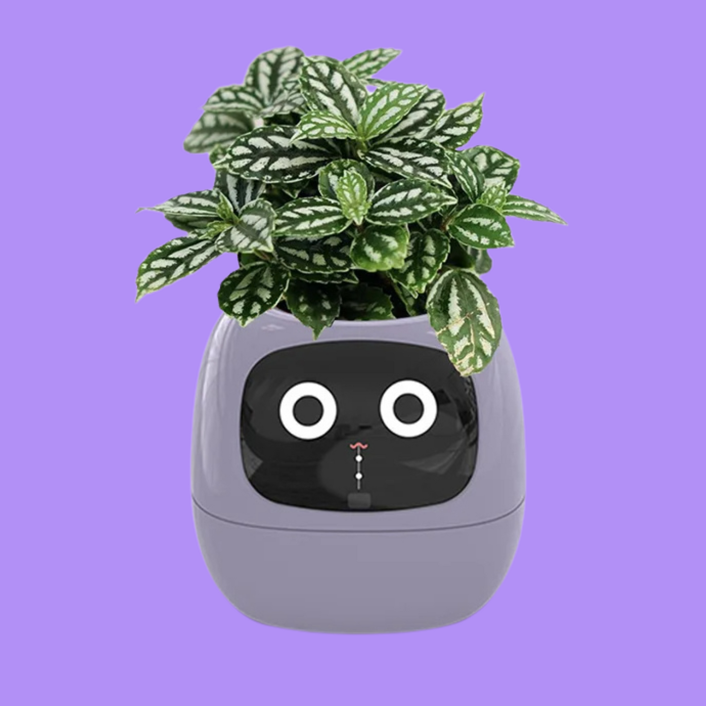 Smart Planter