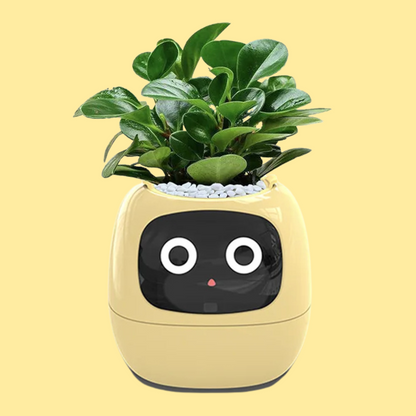 Smart Planter