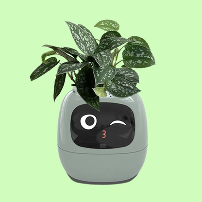 Smart Planter